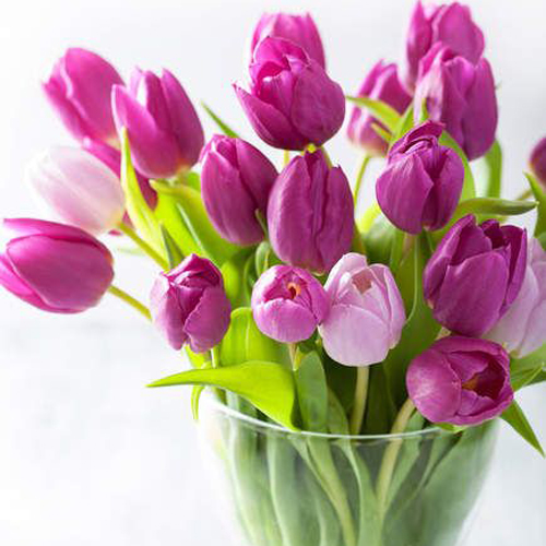 دانلود آهنگ وای از آن روز که منوتو ما شویم قطره قطره جمع چو دریا شویم 